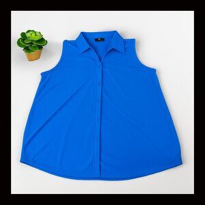 Adrianna Papell Royal Blue Garment